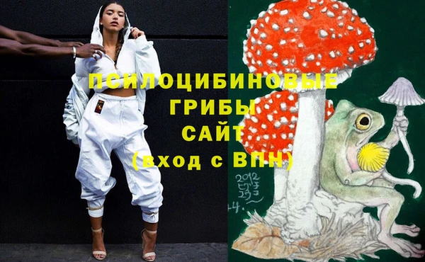 spice Балахна