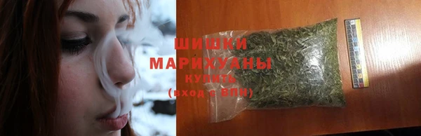 PSILOCYBIN Балабаново