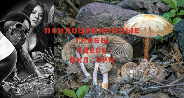 PSILOCYBIN Балабаново