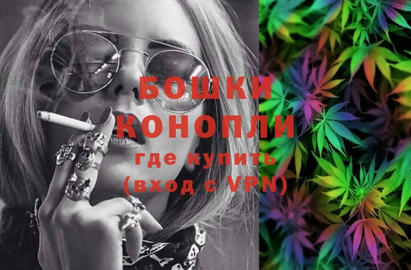 PSILOCYBIN Балабаново