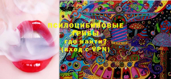 PSILOCYBIN Балабаново