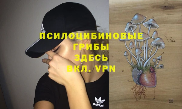 spice Балахна