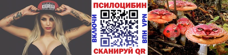Галлюциногенные грибы Psilocybe  наркота  Старая Купавна 